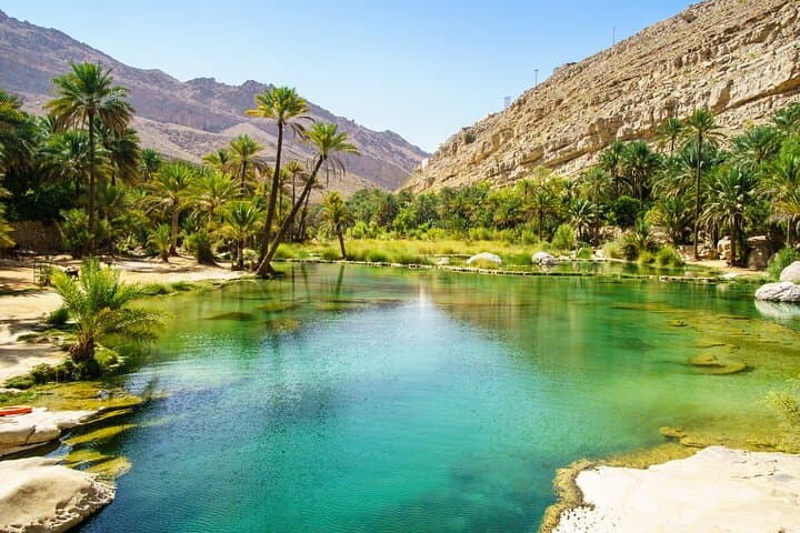 Wahiba Sands and Wadi Bani Khalid Day Tour: Desert Dunes & Wadi Pools from Muscat