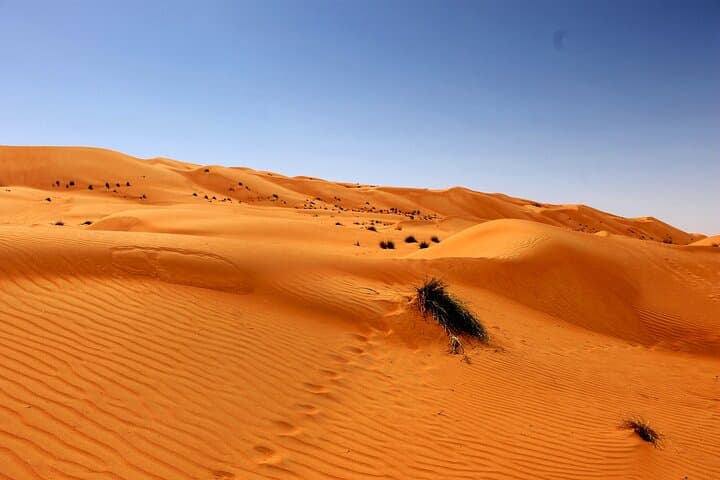 Wahiba Sands and Wadi Bani Khalid Day Tour: Desert Dunes & Wadi Pools from Muscat photo 4