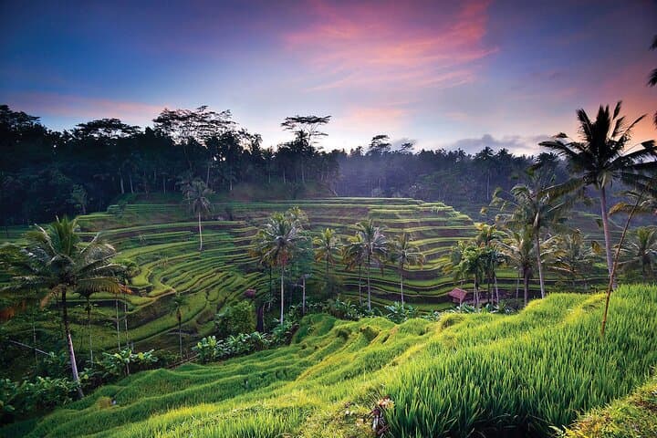 Bali Highlights: Waterfalls, Rice Terraces & Mount Batur Viewpoint photo 3