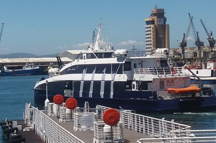 Robben Island Half-Day Guided Tour from Cape Town — Ferry to the Prison Museum photo 4