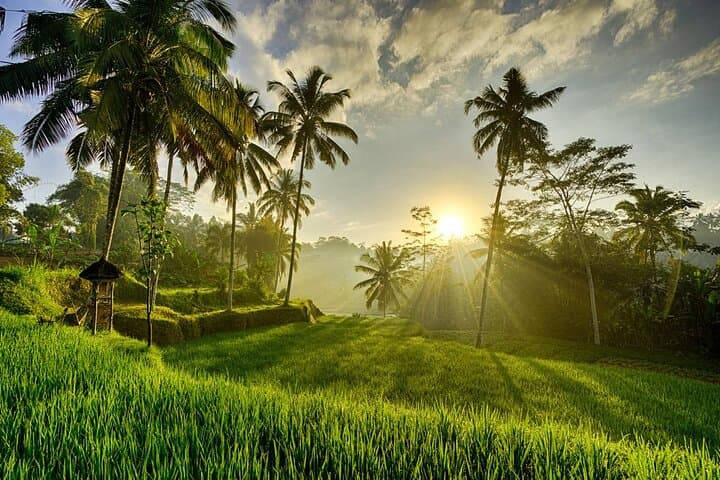 Discover Bali's Top Instagram-Worthy Highlights photo 3