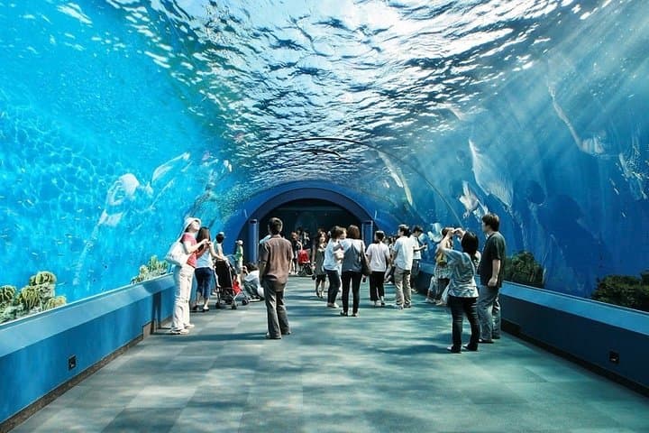 Exploring Underwater World Pattaya: Marine Tunnel, Exhibits & Practical Visitor Guide photo 5