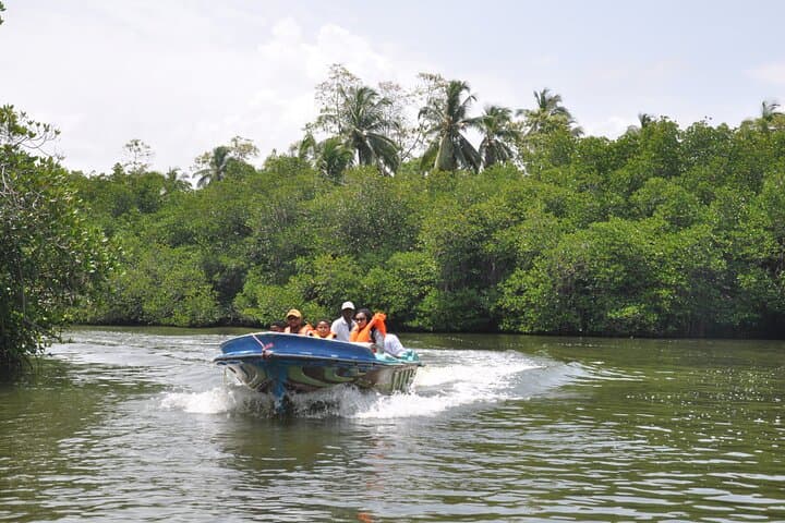 Southern Coast Highlights and Madu River Safari from Bentota: Galle Day Tour photo 6