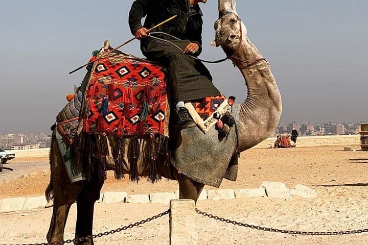 Private Half-Day at Giza: Pyramids, Sphinx & Camel Ride from Cairo photo 5