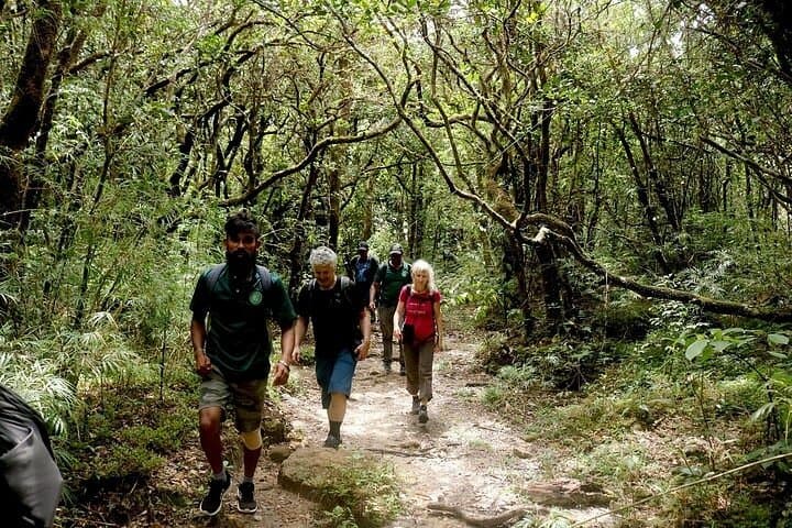 Camping Knuckles Peak Trail: Overnight Guided Trek from Kandy photo 2