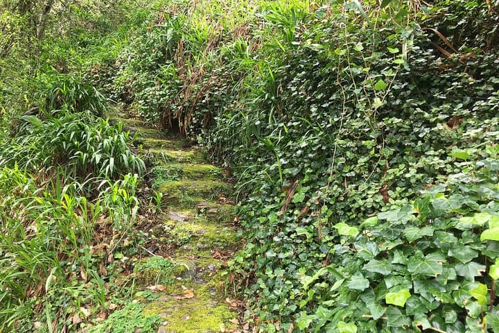 Vale Paraiso (Paradise Valley) Levada Walk — Camacha to Funchal Views photo 2