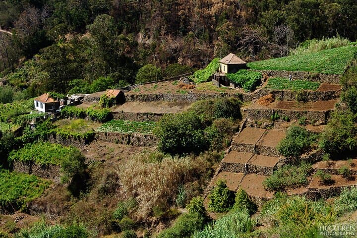 Levada do Norte Walk: Madeira’s Classic South-Coast Levada Hike photo 3