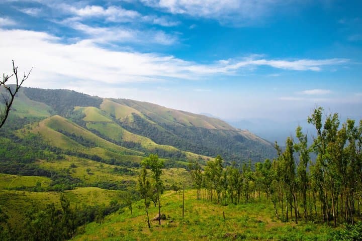 Chikmagalur Day Trip from Mysore: Mullayanagiri, Coffee Plantations & Hebbe Falls