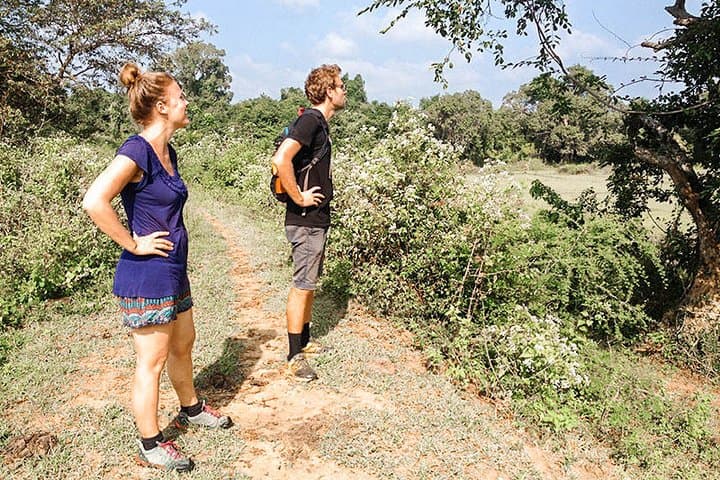 Sri Lanka 4-Day Agro Tour: Farm Visits, Tea Estates & Paddy Fields photo 3