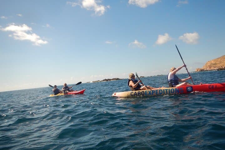 Kayak and Snorkel Lands End: Clear-Bottom Kayaks & Pelican Rock Adventure in Cabo photo 4
