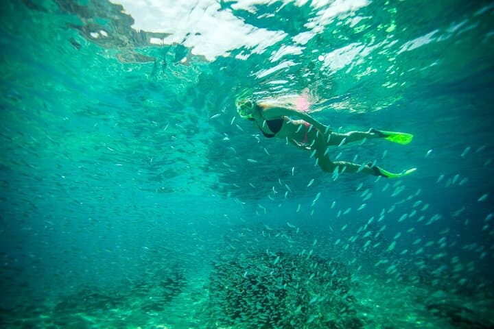 Kayak and Snorkel Lands End: Clear-Bottom Kayaks & Pelican Rock Adventure in Cabo photo 6