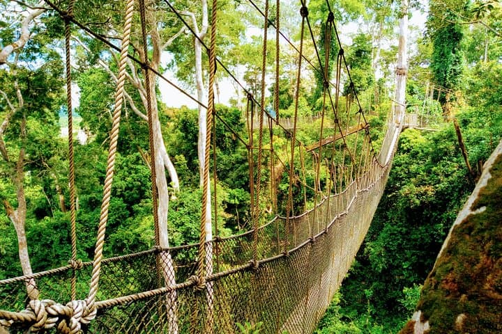 Accra to Cape Coast Escape: Kakum Canopy Walk, Castles & Pan-African Sites photo 2