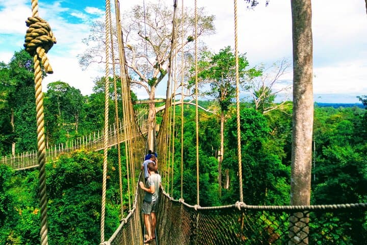 Accra to Cape Coast Escape: Kakum Canopy Walk, Castles & Pan-African Sites photo 1