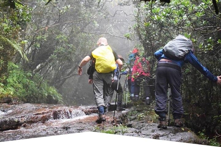 Rainforest Explorer: 2-Day Sinharaja Rain Forest Safari from Bentota photo 4