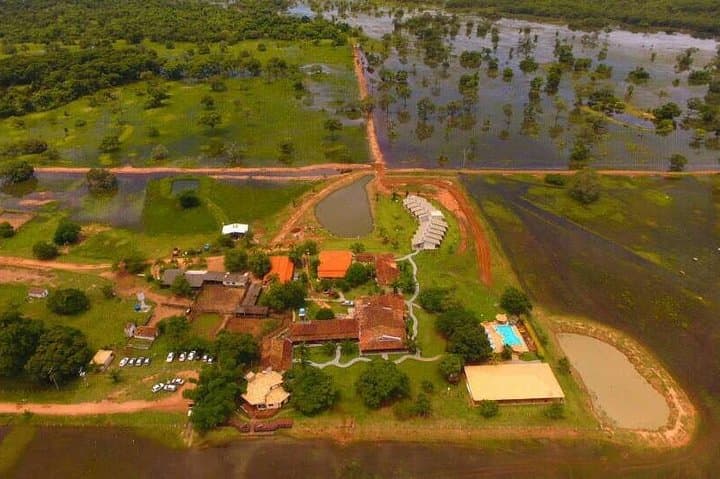 Pantanal Norte Classic: 2–4 Night Wildlife Lodge Experience in Brazil