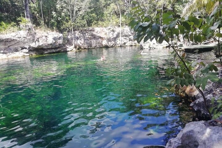 Cenote Express — Tulum Cenotes Swim & Snorkel Tour photo 2
