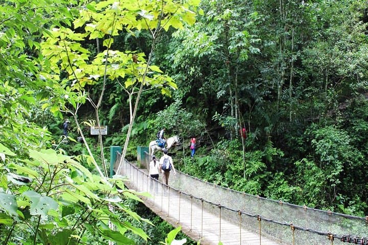 Kuelap & Gocta Waterfall: 5-Day Chachapoyas Archaeology and Cloud-Forest Adventure photo 4