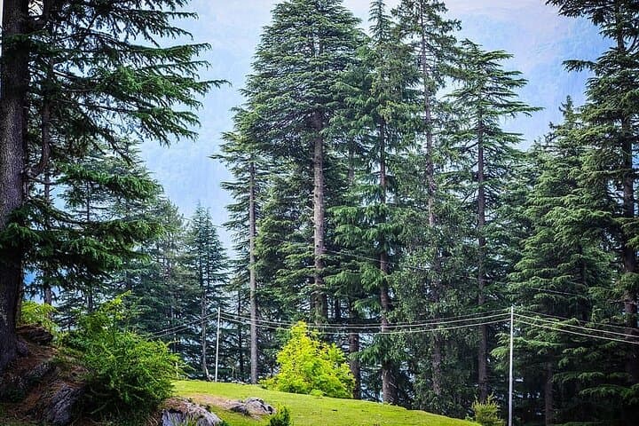 Hampta Valley Day Hike from Manali: Pine Forests to Lahaul Views photo 3