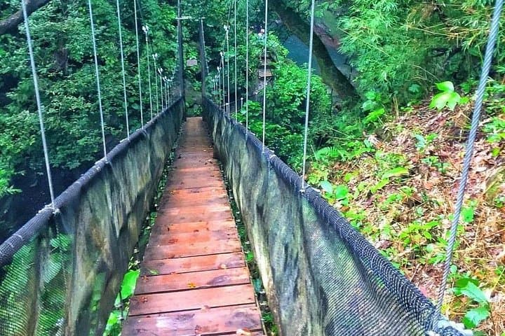 Rincon de la Vieja: Las Pailas Loop Hike, Oropendola Falls & Rio Negro Hot Springs photo 2