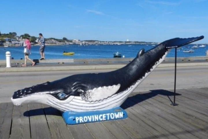 Self-Guided Scavenger Hunt in Provincetown — Crown Jewel of Cape Cod photo 3