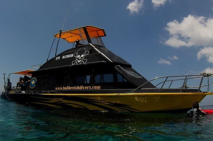 Scuba Diving Nusa Penida & Manta Point: Manta Rays, Drift Dives, and Coral photo 2