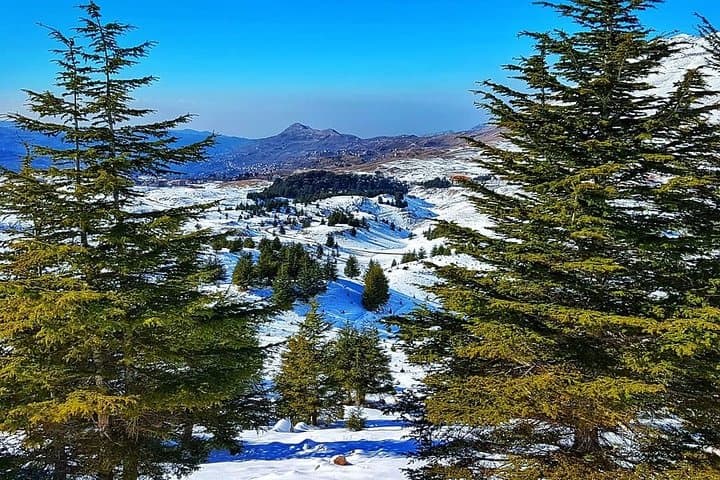 Qadisha Valley, Bcharre & Cedars of God: Day Tour from Beirut photo 6