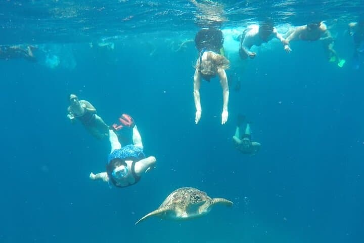 One-Day Gili Islands Snorkel: Turtles, Statues & Coral from Bali photo 6