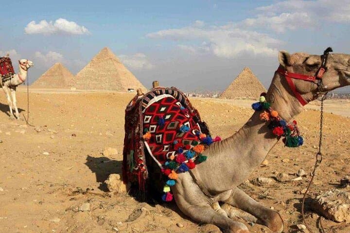 Cairo & Giza Day Trip from Hurghada — Pyramids, Sphinx & Egyptian Museum photo 5