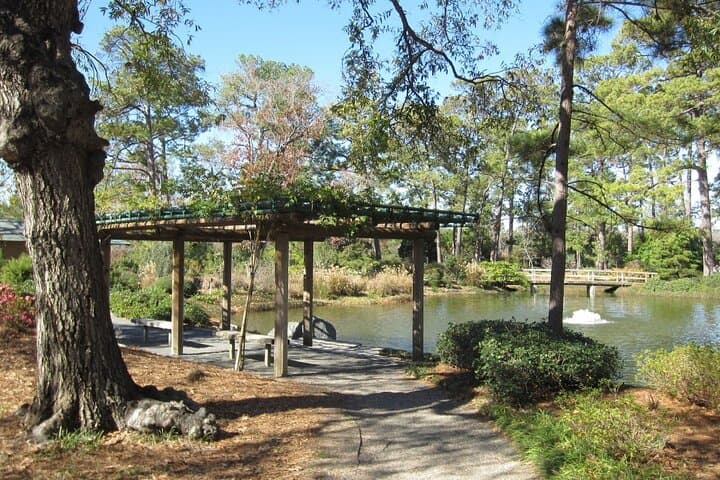 Self-Guided Scavenger Hunt in Houston's Museum District — Let’s Roam Urban Adventure photo 6
