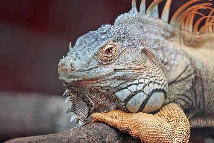 Emerald Coast Ecotour from Puerto Escondido — Ventanilla, Mazunte & Zipolite photo 6