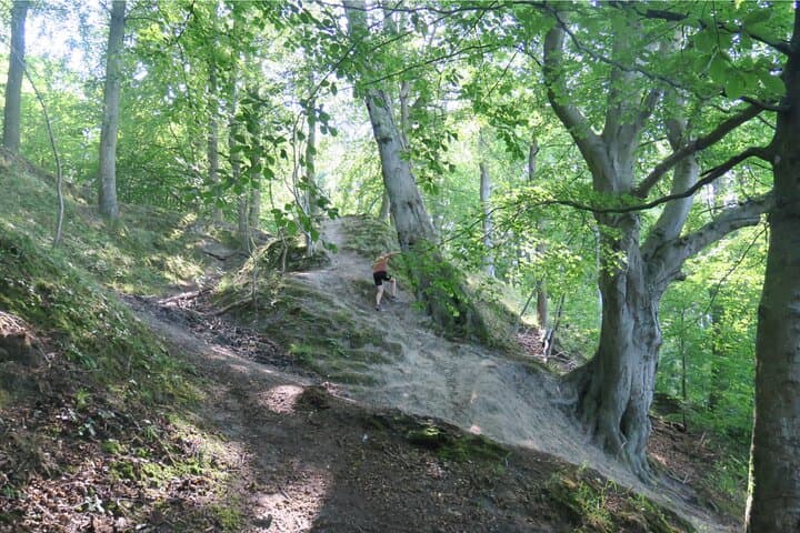 Trail Running Greater Copenhagen: 6km Guided Forest Run from Hvalsø photo 3