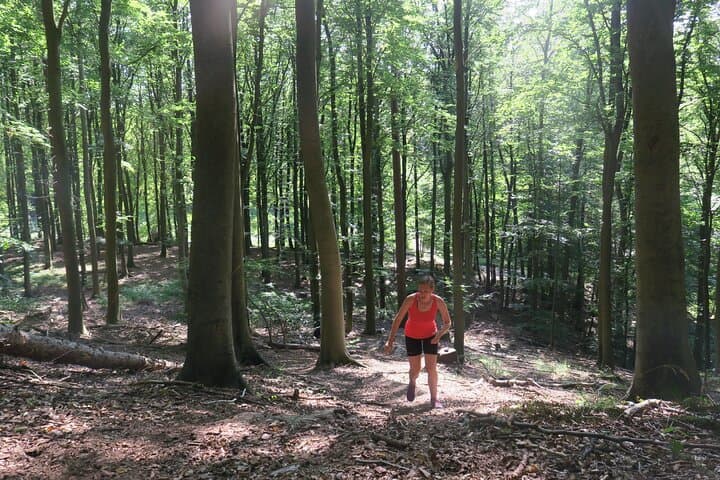 Trail Running Greater Copenhagen: 6km Guided Forest Run from Hvalsø photo 2