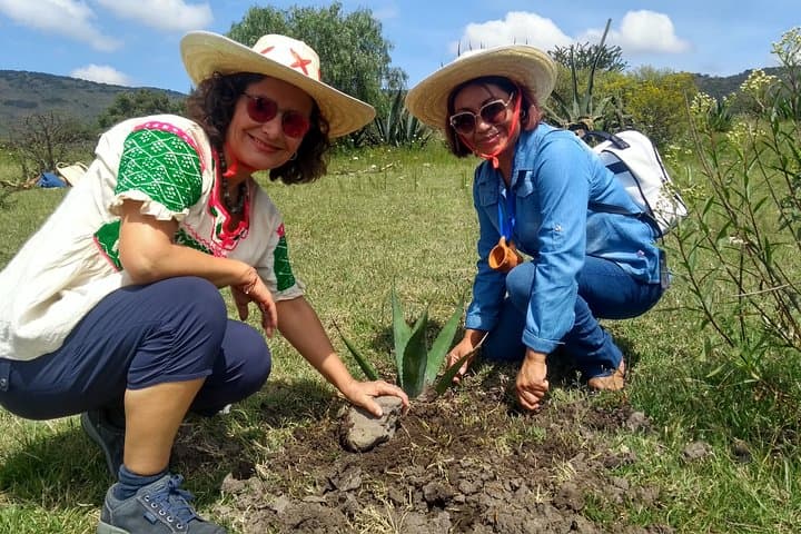 Pulque Ranch Day Trip in Tepotzotlán: Agave Fields & Cooking Workshop photo 5