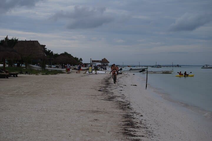 Isla Holbox Birdwatching Boat Tour from Chiquilá photo 3