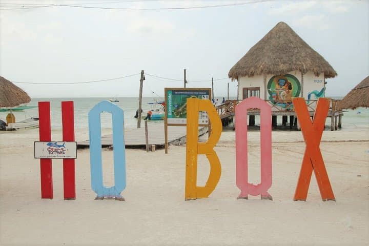Isla Holbox Birdwatching Boat Tour from Chiquilá photo 5