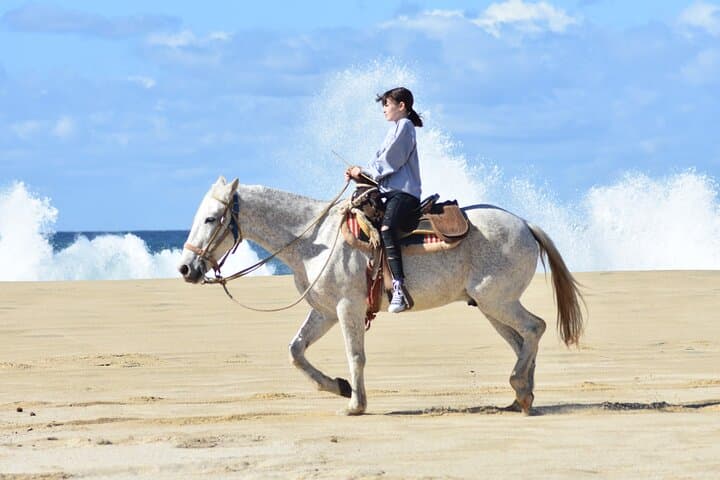 Migriño Beach UTV & Horseback Combo — Cabo San Lucas Coastal Ride photo 5