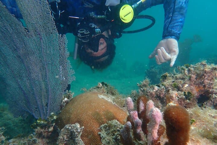 Rincón Discover Scuba Diving — No Certification Needed in Puerto Rico photo 3
