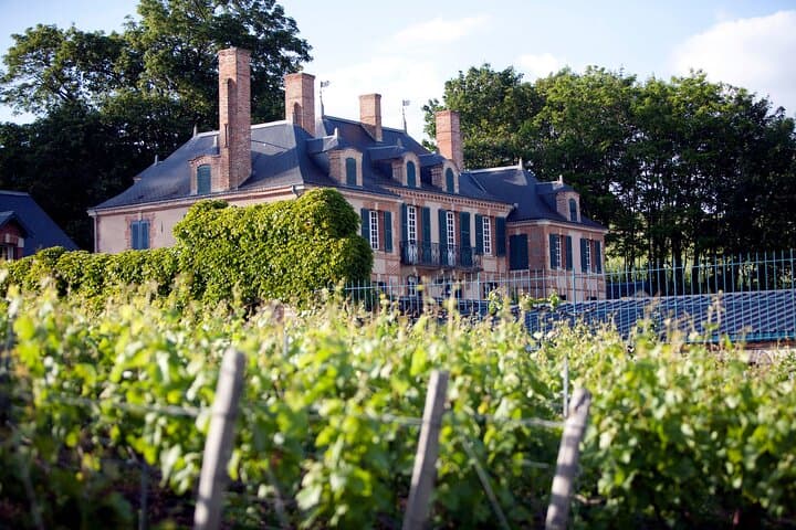 Day Trip to Champagne from Paris: Reims Cellars, Vineyard Visits & Lunch photo 2