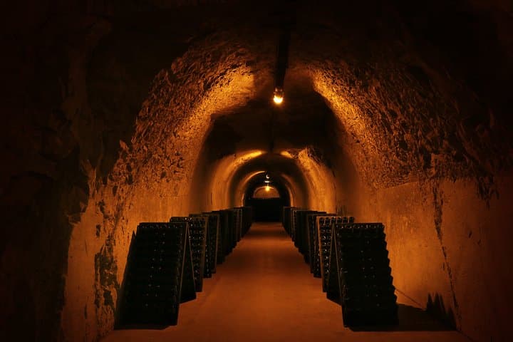 Day Trip to Champagne from Paris: Reims Cellars, Vineyard Visits & Lunch photo 3