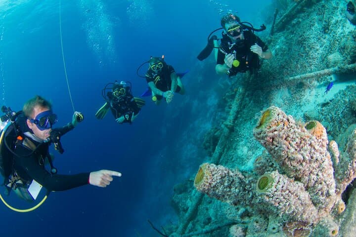 PADI Open Water Course in Curaçao — 2-Day Certification at Jan Thiel photo 2