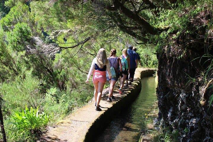 Full-Day Porto Moniz 4x4: Levadas, Volcanic Pools & Fanal Forest photo 2