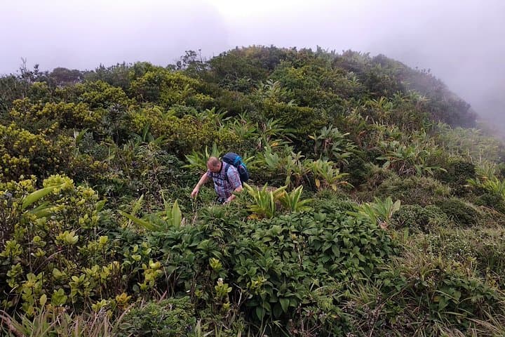 Knuckles Mountain Trek: Day Hike from Kandy to 1,824m Peaks photo 3