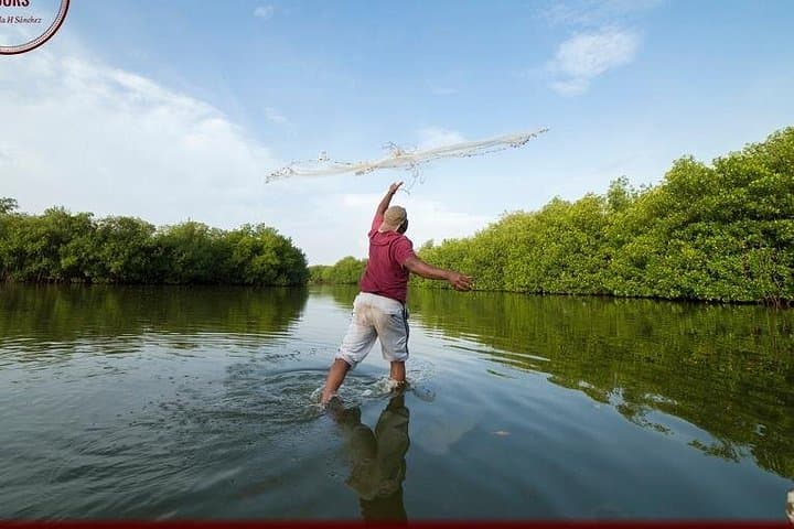 Cartagena Mangrove Nature Photography Tour: Sunrise & Sunset Canoe Workshop photo 3