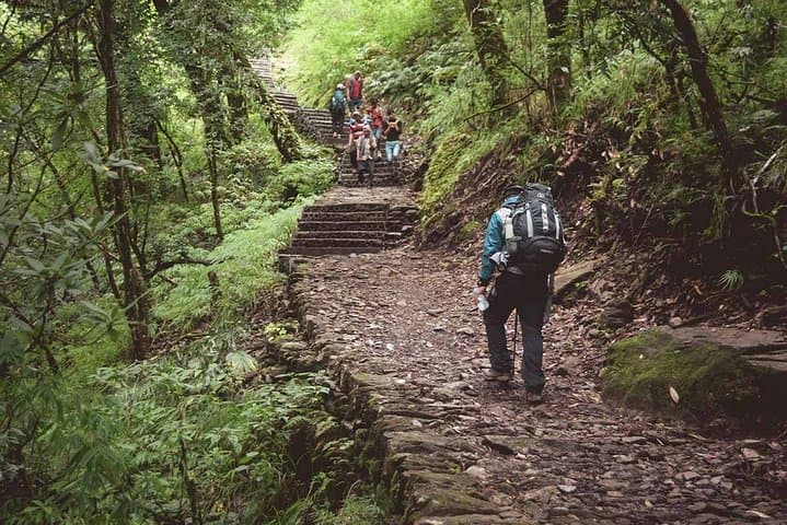 Langtang Valley Trekking: 9-Day Himalayan Trek to Kyanjin Gomba & Tserko Ri photo 3