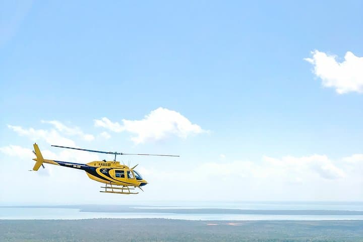 Darwin Cyclone: 30-Minute Helicopter Tour Over Coastline and Mangroves photo 3