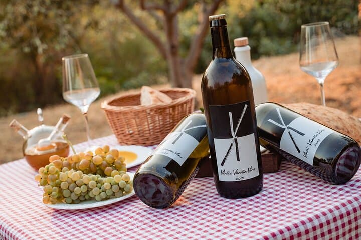 Sunset Wine Tasting on Malaštica Hill — Vineyard Views Near Dubrovnik photo 5