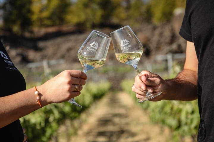 Arafo Mountain Vineyard: Organic Wine Tasting & Mountain Viticulture Tour photo 2