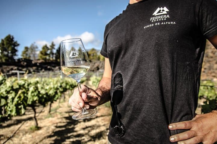Arafo Mountain Vineyard: Organic Wine Tasting & Mountain Viticulture Tour photo 3