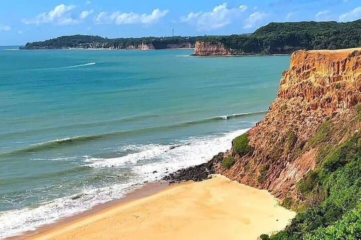 Pipa Beach Day Trip from Natal: Dolphins, Cliffs & Atlantic Forest