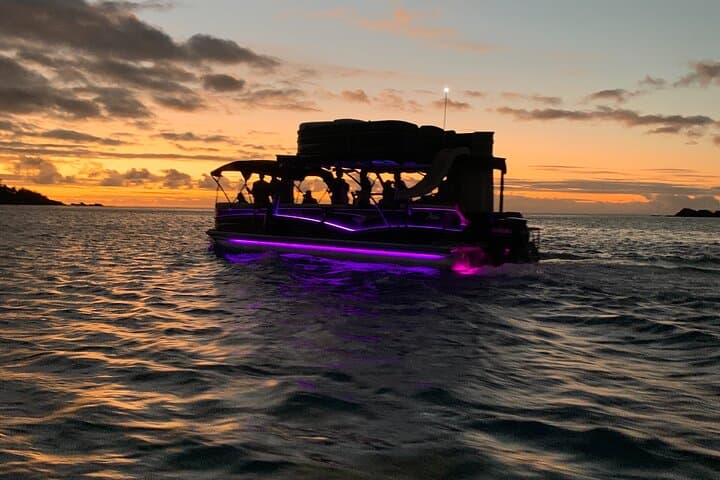 Moorea Sunset Boat Tour: Opunohu Bay, Rays & Sharks at Golden Hour photo 4